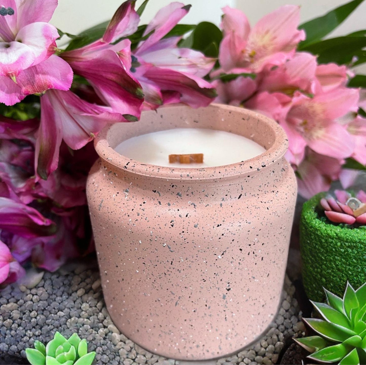 succulent candle anthropologie Spring in Tucson Candle